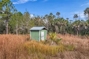 2331 Waccassa St, Geneva, FL 32732 - Photo 11