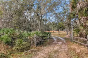 2331 Waccassa St, Geneva, FL 32732 - Photo 3