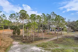 2331 Waccassa St, Geneva, FL 32732 - Photo 13