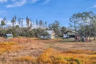 2331 Waccassa St, Geneva, FL 32732 - Photo 9