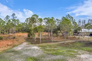 2331 Waccassa St, Geneva, FL 32732 - Photo 7