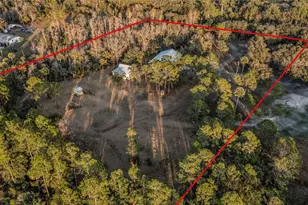 2331 Waccassa St, Geneva, FL 32732 - Photo 31