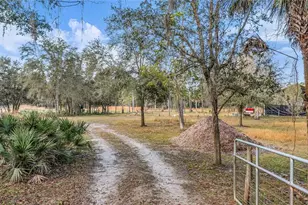 2331 Waccassa St, Geneva, FL 32732 - Photo 5