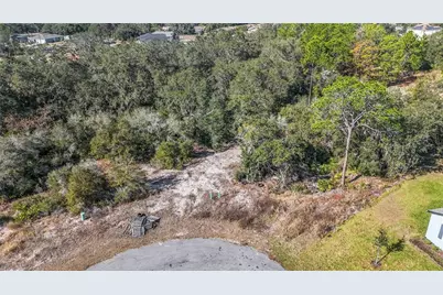 320 Bowfin Lane, Kissimmee, FL 34759 - Photo 5