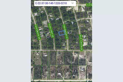 108 Fascination Drive, Lake Placid, FL 33852 - Photo 3