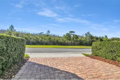 8626 Vedder Lane, Orlando, FL 32832 - Photo 31