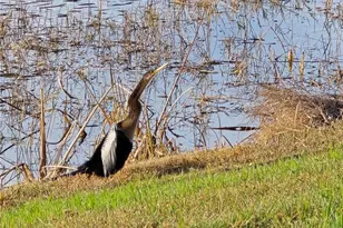 738 Via Como St, Kissimmee, FL 34759 - Photo 27