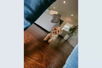 13408 Beebe Alley, Orlando, FL 32827 - Photo 21