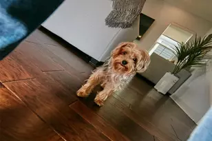 13408 Beebe Aly, Orlando, FL 32827 - Photo 21