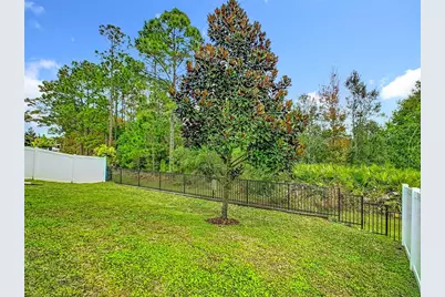 10759 Petrillo Way, Winter Garden, FL 34787 - Photo 43