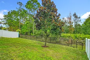 10759 Petrillo Wy, Winter Garden, FL 34787 - Photo 43