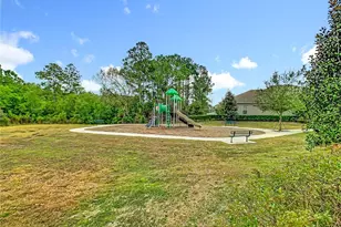 10759 Petrillo Wy, Winter Garden, FL 34787 - Photo 45