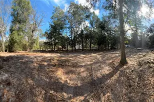 31 SE 190th Ave, Old Town, FL 32680 - Photo 9