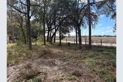 31 SE 190th Avenue, Old Town, FL 32680 - Photo 3