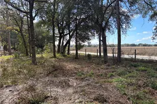 31 SE 190th Ave, Old Town, FL 32680 - Photo 3