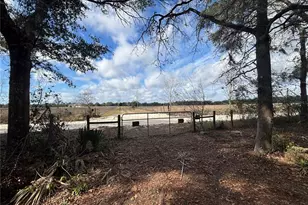 31 SE 190th Ave, Old Town, FL 32680 - Photo 7