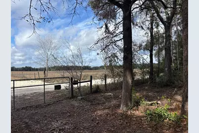 31 SE 190th Avenue, Old Town, FL 32680 - Photo 5