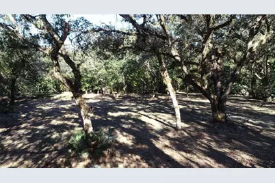 S County Road 13, Orlando, FL 32833 - Photo 5