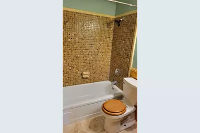 1412 Cr 482N, Lake Panasoffkee, FL 33538 - Photo 13