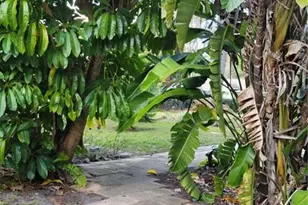 1412 Cr 482N, Lake Panasoffkee, FL 33538 - Photo 17