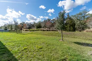 1908 Perch Hammock Loop, Groveland, FL 34736 - Photo 29