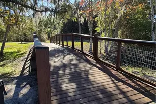 10325 Mallard Landings Way, Orlando, FL 32832 - Photo 53