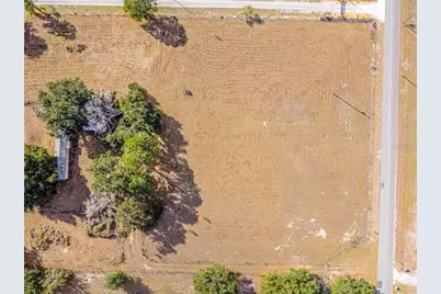 7700 Florida Boys Ranch Road, Groveland, FL 34736 - Photo 9