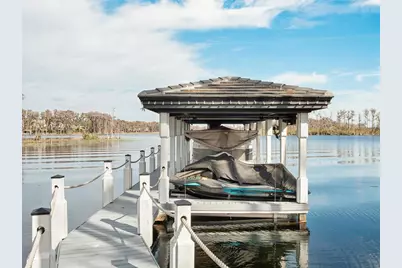 6117 Louise Cove Drive, Windermere, FL 34786 - Photo 45