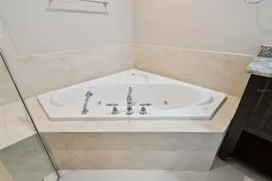 9805 Spring Lake Dr, Clermont, FL 34711 - Photo 29