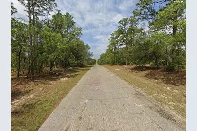 1022 W Cary Drive, Citrus Springs, FL 34434 - Photo 3