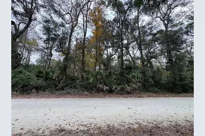 Ne 142 Place, Anthony, FL 32617 - Photo 1