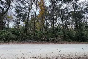 NE 142 Pl, Anthony, FL 32617 - Photo 1