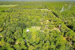 11670 SE 37 Ln, Morriston, FL 32668 - Photo 41