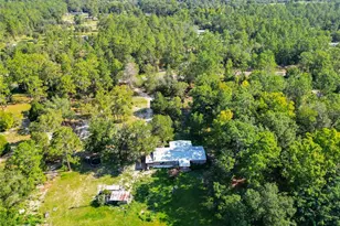 11670 SE 37 Ln, Morriston, FL 32668 - Photo 3