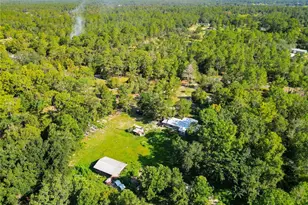 11670 SE 37 Ln, Morriston, FL 32668 - Photo 39