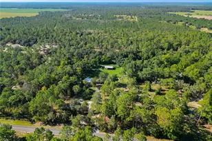 11670 SE 37 Ln, Morriston, FL 32668 - Photo 45