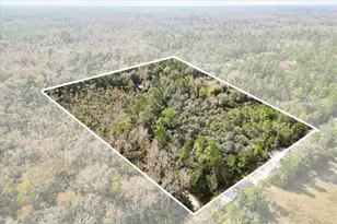 1705 Sunset Trail, Geneva, FL 32732 - Photo 11