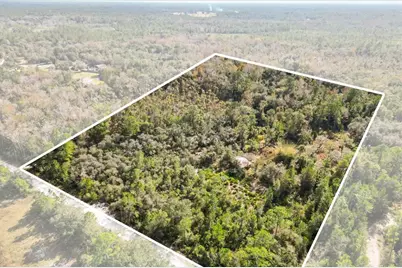 1705 Sunset Trail, Geneva, FL 32732 - Photo 13