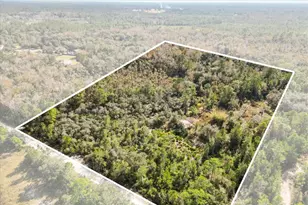 1705 Sunset Trail, Geneva, FL 32732 - Photo 13