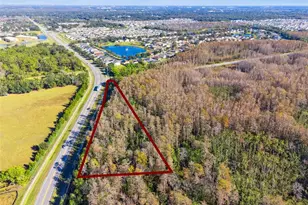 Ham Brown Rd, Kissimmee, FL 34746 - Photo 1