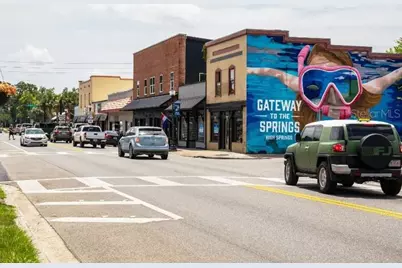 16817 NW 176th Way, Alachua, FL 32615 - Photo 29