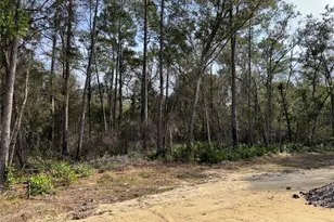 95 Fir Dr, Ocala, FL 34472 - Photo 27