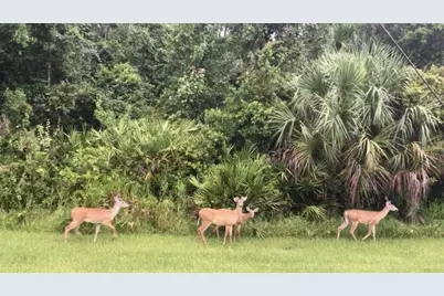 1001 Umbria Drive, Kissimmee, FL 34759 - Photo 31