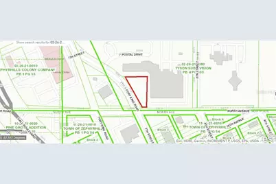 Fort King Rd, Dade City, FL 33525 - Photo 3