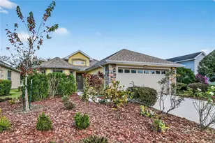 3003 New Haven Pl, Mount Dora, FL 32757 - Photo 35