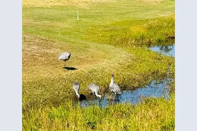 300 Royal Troon Loop, Davenport, FL 33837 - Photo 47