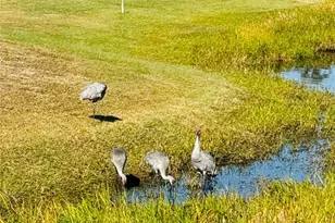 300 Royal Troon Loop, Davenport, FL 33837 - Photo 47