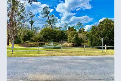 2915 NE 102nd Avenue Road, Silver Springs, FL 34488 - Photo 13