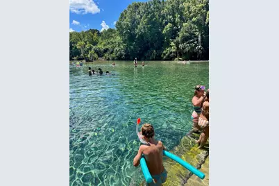 2915 NE 102nd Avenue Road, Silver Springs, FL 34488 - Photo 57