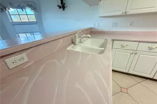 21623 Regency Park Ln, Leesburg, FL 34748 - Photo 9